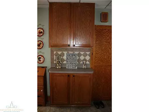 140 Rayner St, Mason, MI 48854 photo 9