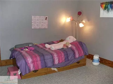 614 N Mai, Bellevue, MI 49021 photo 19