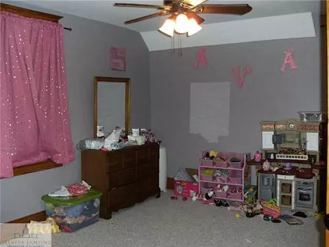 614 N Mai, Bellevue, MI 49021 photo 20