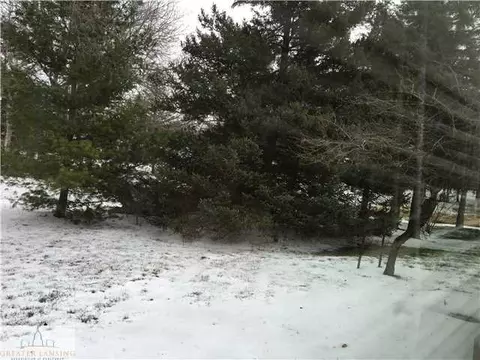 310 Manchester, Dewitt, MI 48820 photo 25