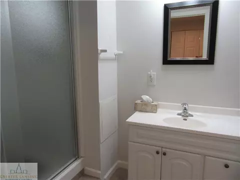 310 Manchester, Dewitt, MI 48820 photo 22