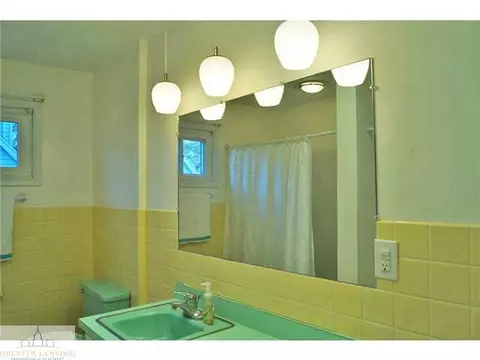 220 Halbert, Grand Ledge, MI 48837 photo 16