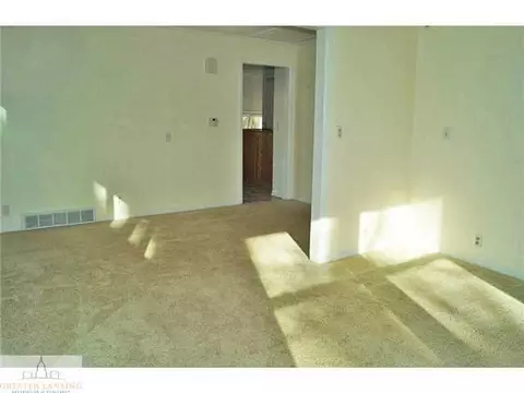 220 Halbert, Grand Ledge, MI 48837 photo 10
