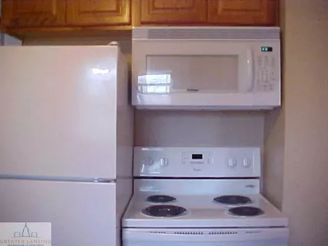 209 Smith Ave, Lansing, MI 48910 photo 7