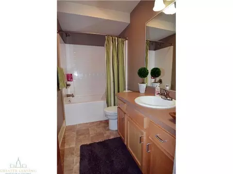 6735 Castleton Dr, Grand Ledge, MI 48837 photo 18