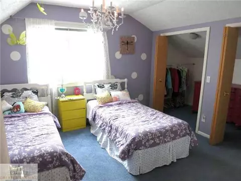 904 Turner St, Dewitt, MI 48820 photo 23