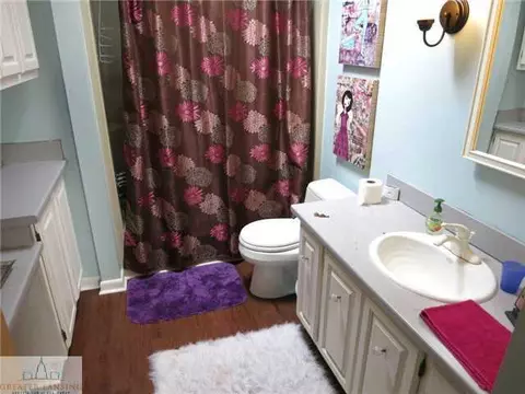 904 Turner St, Dewitt, MI 48820 photo 22