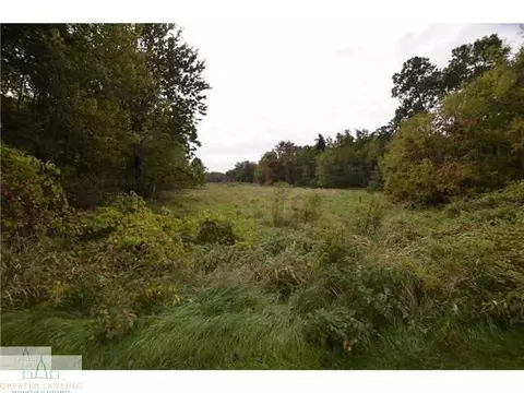 12443 Doe Pass Ln, Perry, MI 48872 photo 7