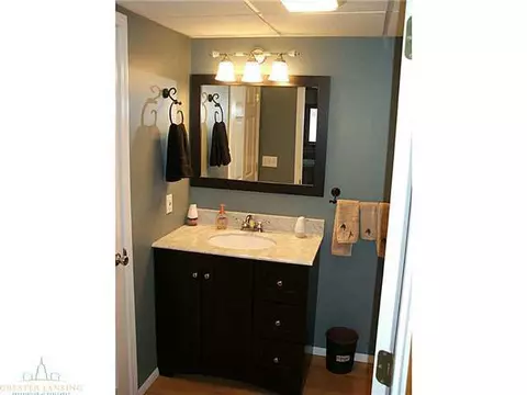 3903 E Colony Rd, Saint Johns, MI 48879 photo 24