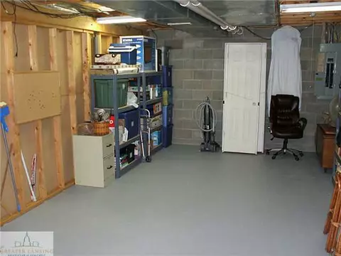 3903 E Colony Rd, Saint Johns, MI 48879 photo 22