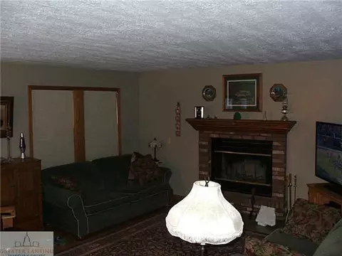 3903 E Colony Rd, Saint Johns, MI 48879 photo 15