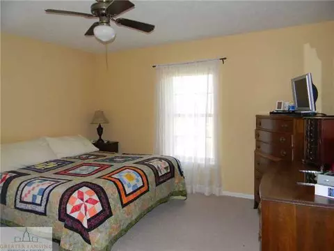 6905 W Howe Rd, Dewitt, MI 48820 photo 11