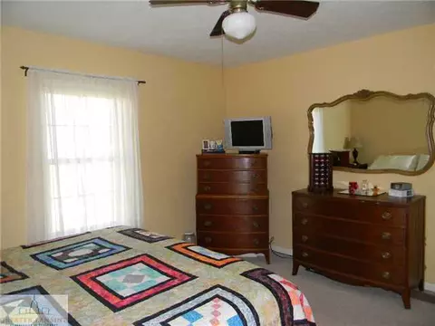 6905 W Howe Rd, Dewitt, MI 48820 photo 12