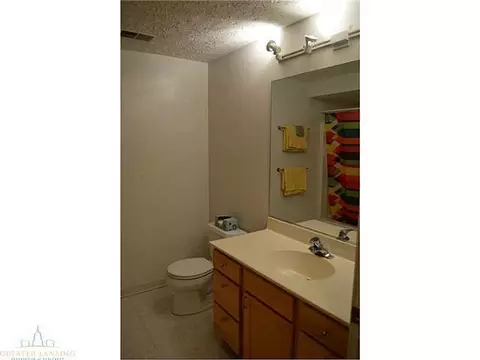 4176 Hamlet, Bath, MI 48808 photo 23