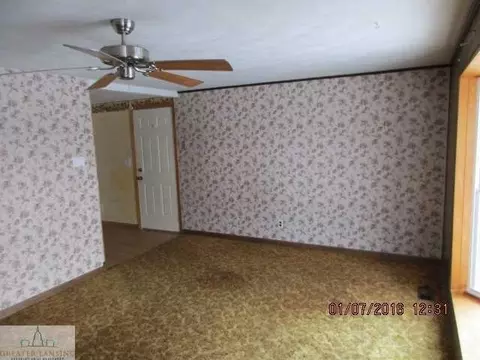 210 S Elizabeth, Lyons, MI 48851 photo 3