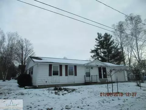 210 S Elizabeth, Lyons, MI 48851 photo 1