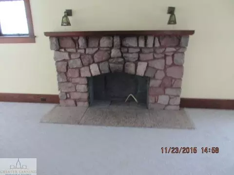 204 E Pin, Elsie, MI 48831 photo 5