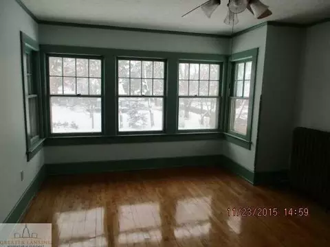 204 E Pin, Elsie, MI 48831 photo 7