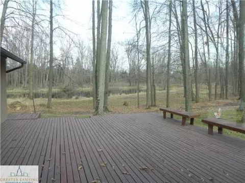 5777 E Cutler Rd, Bath, MI 48808 photo 20
