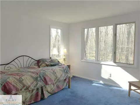 5777 E Cutler Rd, Bath, MI 48808 photo 15
