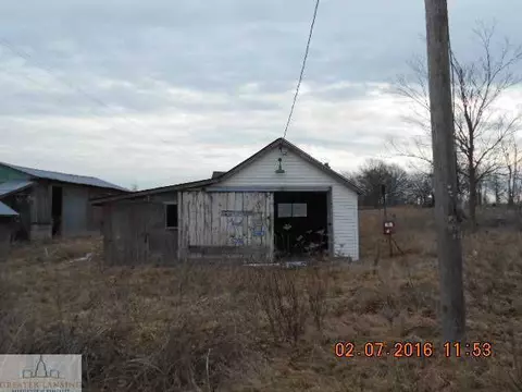 7975 Goodwin Rd, Lyons, MI 48851 photo 4
