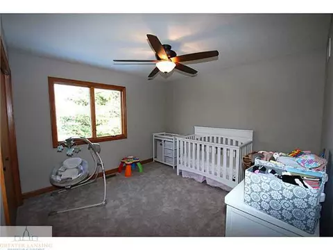 11610 Norris Rd, Dewitt, MI 48820 photo 17