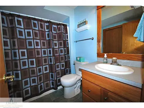 11610 Norris Rd, Dewitt, MI 48820 photo 19