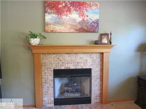 1100 Lacosta, Dewitt, MI 48820 photo 8