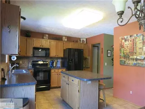 1100 Lacosta, Dewitt, MI 48820 photo 9