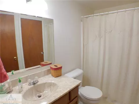 885 N Waverly, Dimondale, MI 48821 photo 16