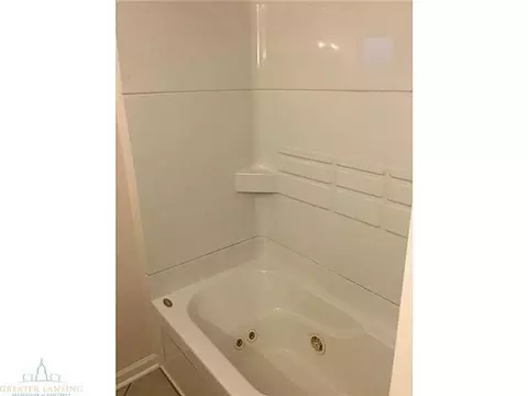 11350 Chandler, Dewitt, MI 48820 photo 11