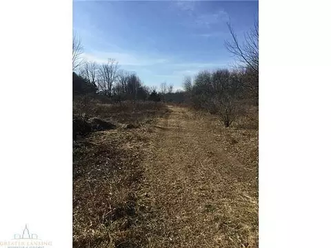 11350 Chandler, Dewitt, MI 48820 photo 17