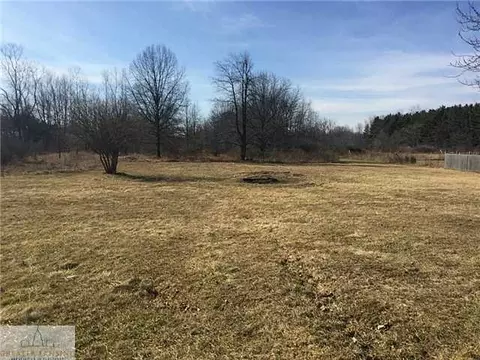 11350 Chandler, Dewitt, MI 48820 photo 16