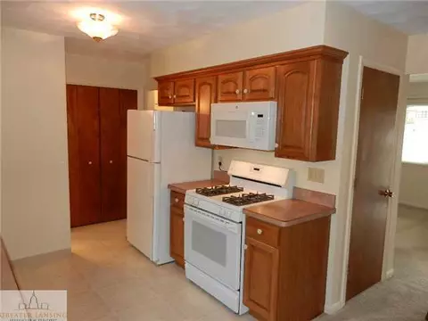 1066 W Dill Rd, Dewitt, MI 48820 photo 8