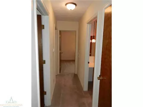 1066 W Dill Rd, Dewitt, MI 48820 photo 11