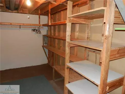 1066 W Dill Rd, Dewitt, MI 48820 photo 22