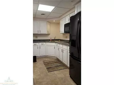 1769 Pine Creek Cir, Haslett, MI 48840 photo 22