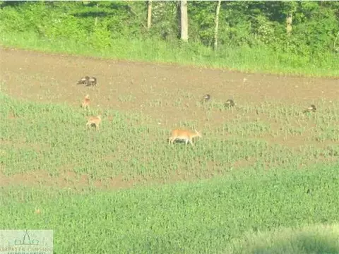 8600 Williams Rd, Dewitt, MI 48820 photo 20