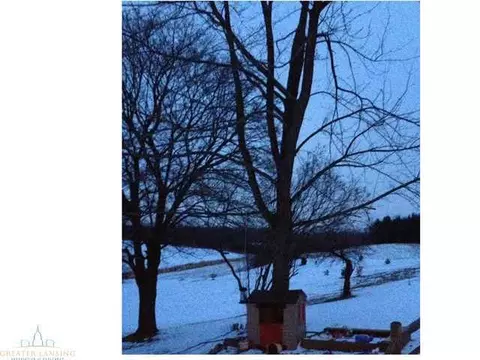 8600 Williams Rd, Dewitt, MI 48820 photo 23