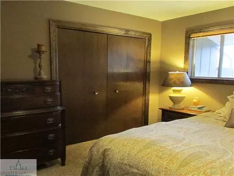 3790 Mulberry Ln, Dewitt, MI 48820 photo 12
