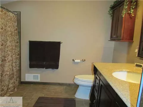 3790 Mulberry Ln, Dewitt, MI 48820 photo 14