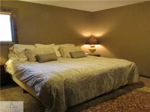 3790 Mulberry Ln, Dewitt, MI 48820 photo 11