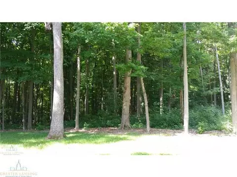 11280 Wilson St, Dewitt, MI 48820 photo 25