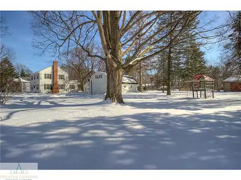 505 W Main, Dewitt, MI 48820 photo 16