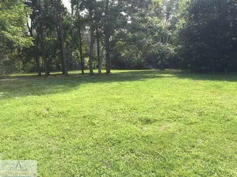 505 W Main, Dewitt, MI 48820 photo 18