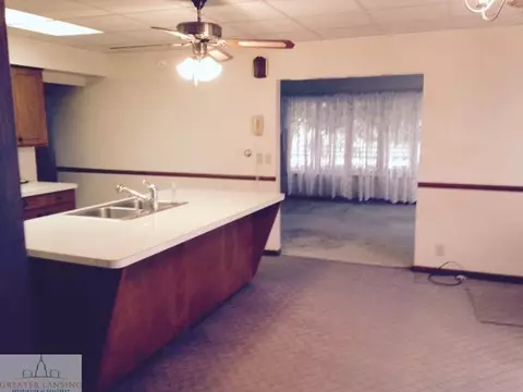 9705 W Epton Rd, Elsie, MI 48831 photo 4