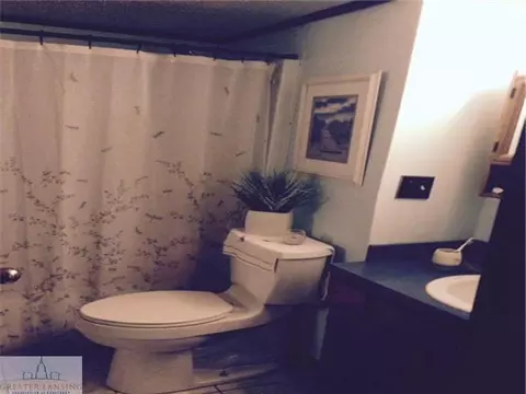 807 Pine St, Dewitt, MI 48820 photo 6