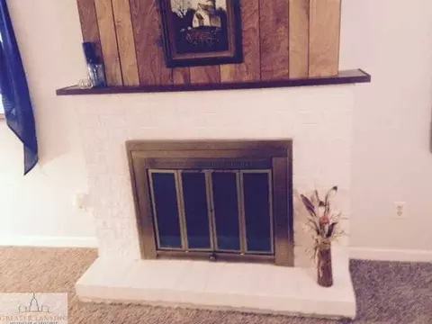 807 Pine St, Dewitt, MI 48820 photo 7