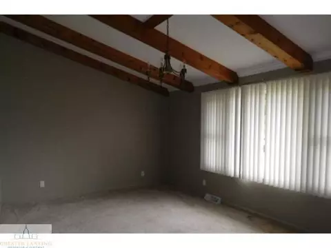 13898 Ducharme Dr, Dewitt, MI 48820 photo 4