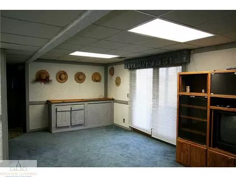 6515 Creyts Rd, Dimondale, MI 48821 photo 22